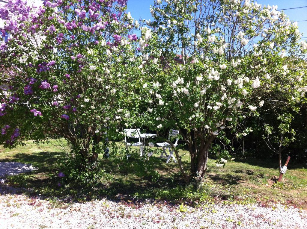 Les Lilas Roses Chamouilley Exterior photo